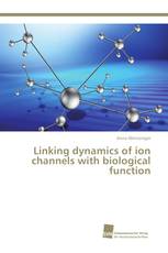 Linking dynamics of ion channels with biological function