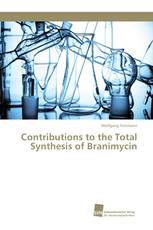 Contributions to the Total Synthesis of Branimycin