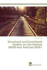 Structural and functional studies on the human DEAD-box helicase DDX1