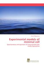 Experimental models of minimal cell