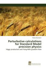 Perturbative calculations for Standard Model precision physics