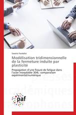 Modélisation tridimensionnelle de la fermeture induite par plasticité