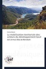 La mobilisation territoriale des acteurs du développement local