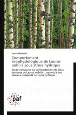 Comportement écophysiologique de Laurus nobilis sous stress hydrique