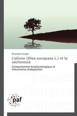 L'olivier (Olea europaea L.) et la sécheresse