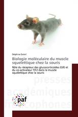 Biologie moléculaire du muscle squelettique chez la souris