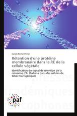 Rétention d'une protéine membranaire dans le RE de la cellule végétale