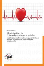 Modélisation de l'hémodynamique artérielle