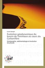 Évolution géodynamique du bassin de Timimoun au cours du Carbonifère