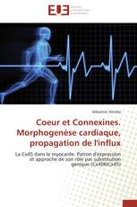 Coeur et Connexines. Morphogenèse cardiaque, propagation de l'influx