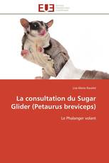 La consultation du Sugar Glider (Petaurus breviceps)