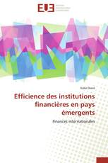 Efficience des institutions financières en pays émergents