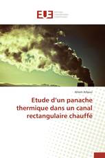 Etude d’un panache thermique dans un canal rectangulaire chauffé