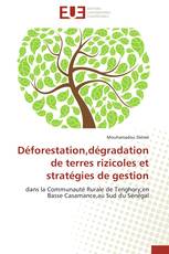 Déforestation,dégradation de terres rizicoles et stratégies de gestion