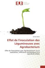 Effet de l'inoculation des Légumineuses avec Agrobacterium