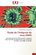 Etude de l’intégrase du virus XMRV