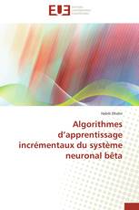 Algorithmes d’apprentissage incrémentaux du système neuronal bêta