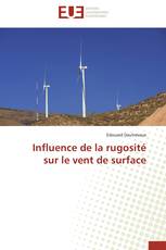 Influence de la rugosité sur le vent de surface