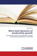 Micro level dynamics of productivity growth