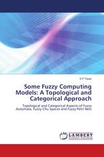 Some Fuzzy Computing Models: A Topological and Categorical Approach