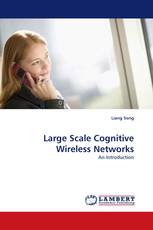 Large Scale Cognitive Wireless Networks