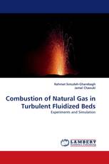 Combustion of Natural Gas in Turbulent Fluidized Beds