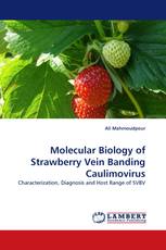 Molecular Biology of Strawberry Vein Banding Caulimovirus