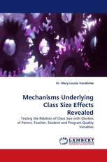 Mechanisms Underlying Class Size Effects Revealed