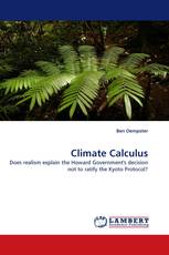 Climate Calculus