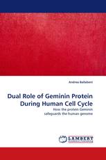 Dual Role of Geminin Protein During Human Cell Cycle