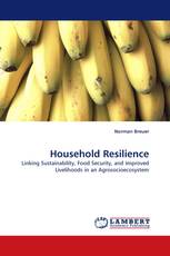 Household Resilience