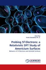 Probing 5f Electrons: a Relativistic DFT Study of Americium Surfaces