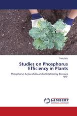 Studies on Phosphorus Efficiency in Plants