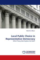 Local Public Choice in Representative Democracy