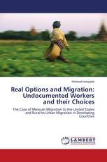 Real Options and Migration: Undocumented Workers and their Choices