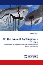 On the Brain of Cartilaginous Fishes