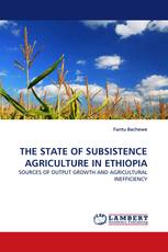 THE STATE OF SUBSISTENCE AGRICULTURE IN ETHIOPIA