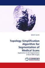 Topology Simplification Algorithm for Segmentation of Medical Scans