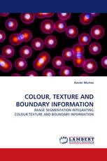 COLOUR, TEXTURE AND BOUNDARY INFORMATION