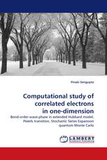 Computational study of correlated electrons in one-dimension