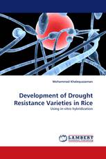 Development of Drought Resistance Varieties  in Rice