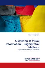 Clustering of Visual Information Using Spectral Methods