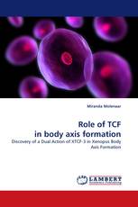 Role of TCF in body axis formation