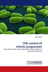 CDK control of mitotic progression