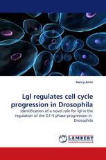 Lgl regulates cell cycle progression in Drosophila