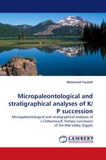Micropaleontological and stratigraphical analyses of K/P succession