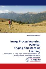 Image Processing using Punctual Kriging and Machine Learning