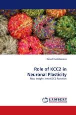 Role of KCC2 in Neuronal Plasticity