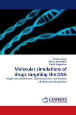 Molecular simulations of drugs targeting the DNA