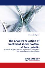 The Chaperone action of small heat shock protein, alpha-crystallin